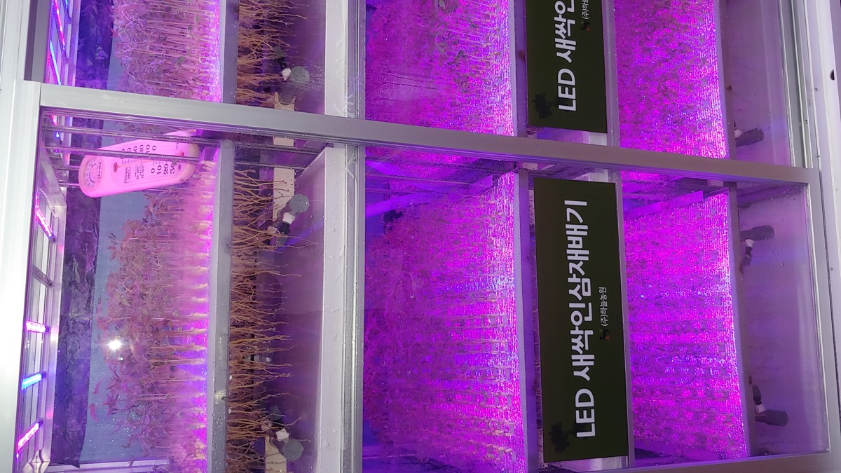 LED 성장등 다단 선반