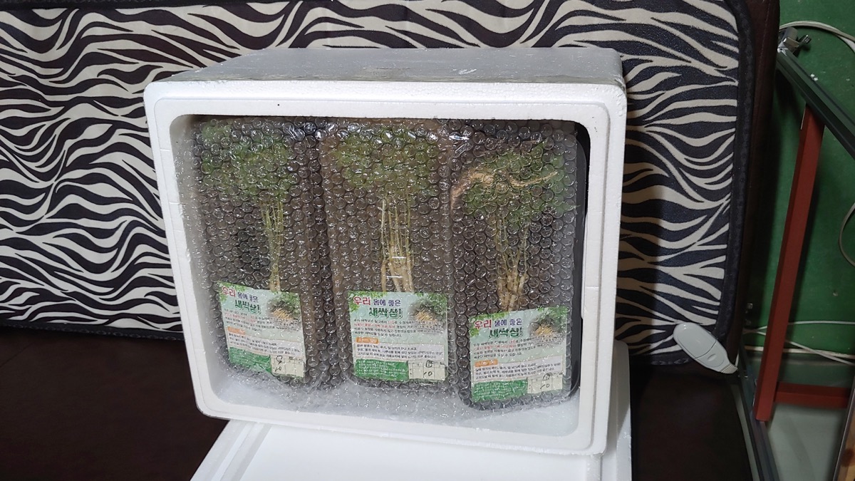 제품 택배 포장